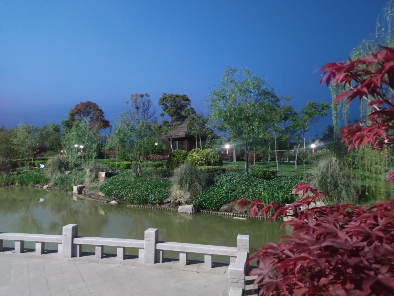 淮海:文明創(chuàng)建讓“愿景”變“美景”.jpg